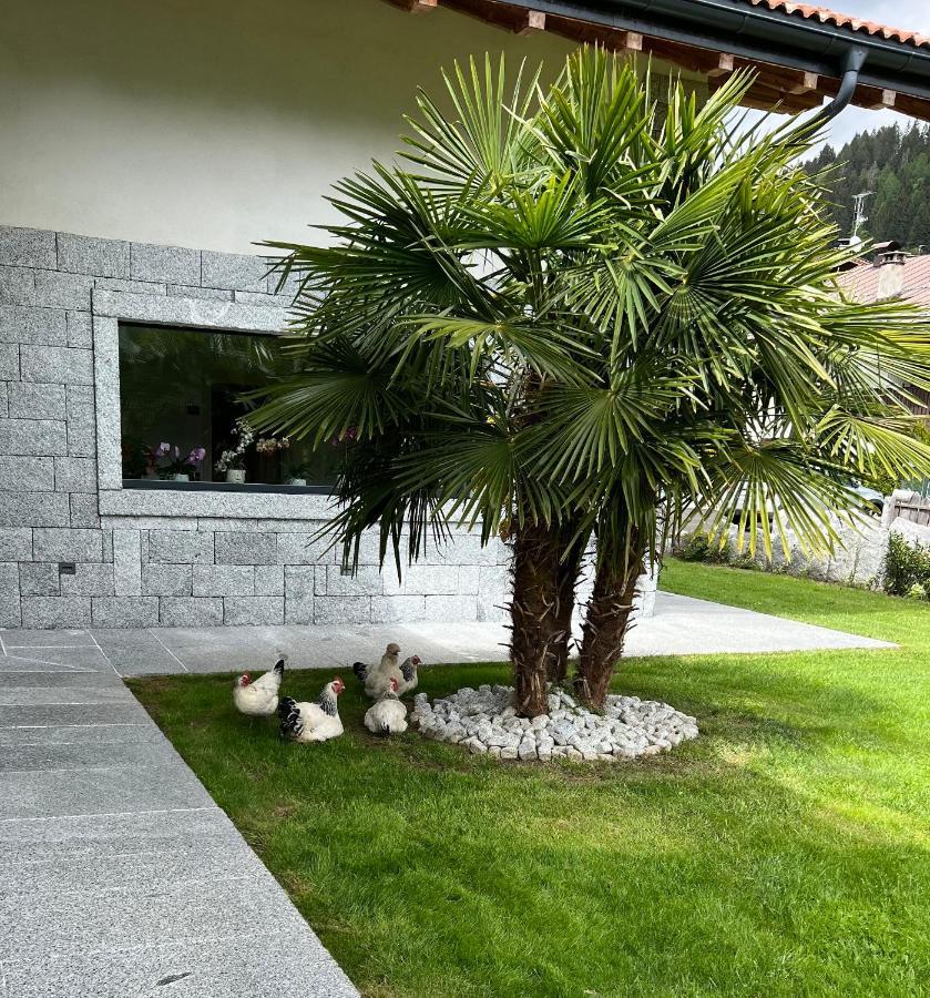 B&B Casa Il Sasso Pinzolo Extérieur photo